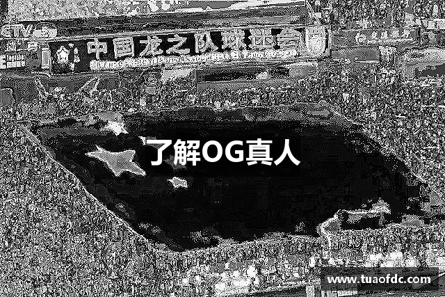 了解OG真人